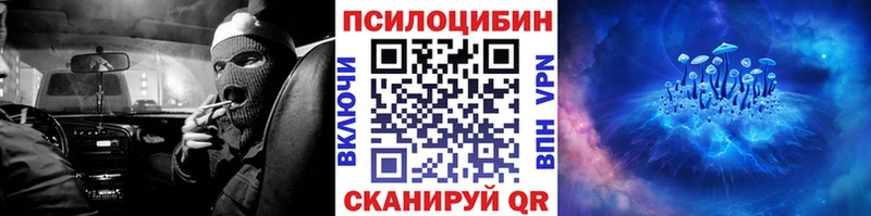 ОМГ ОМГ ТОР  Петровск-Забайкальский  Галлюциногенные грибы Psilocybine cubensis 